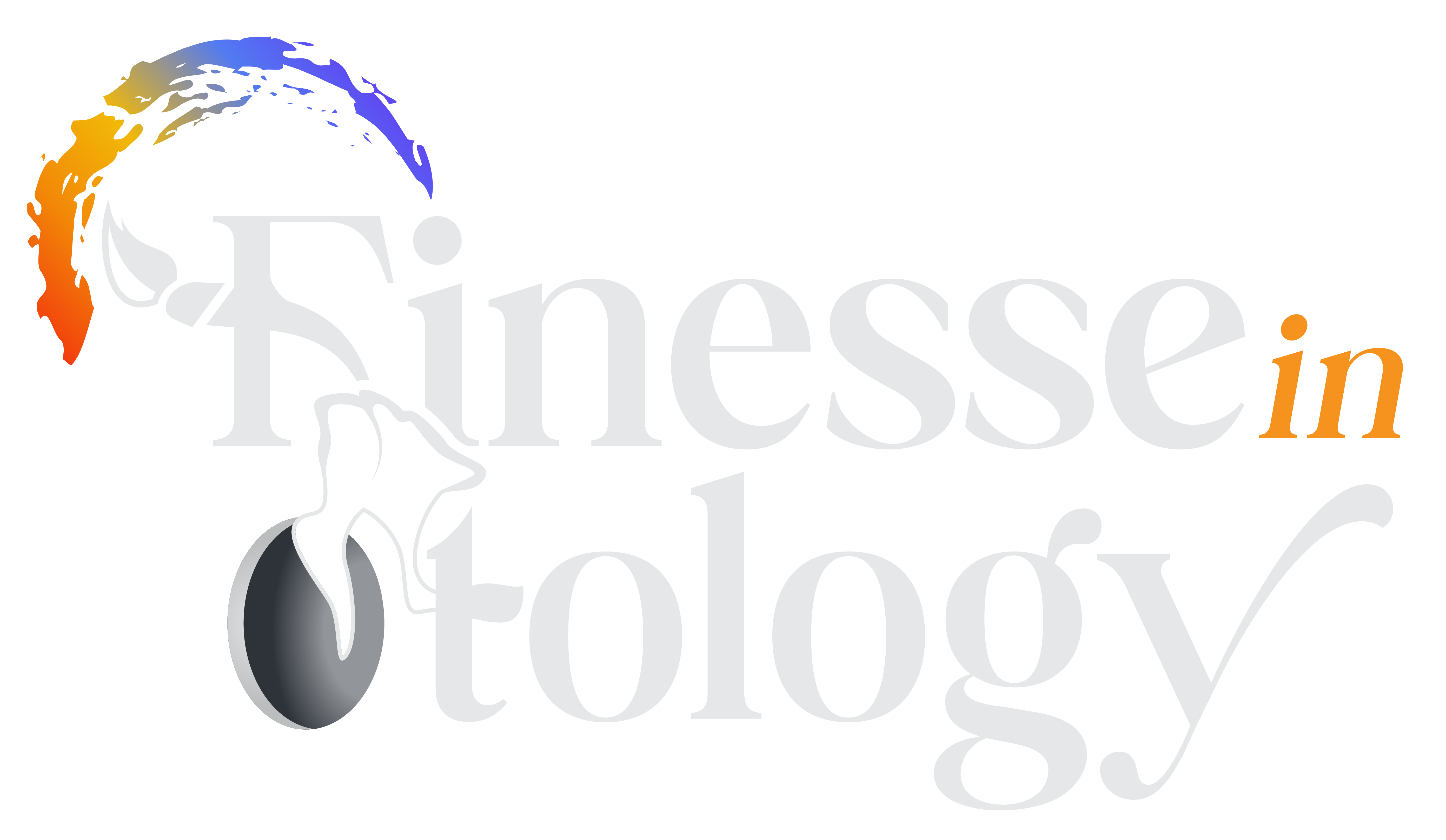 Finesse_in_Otology